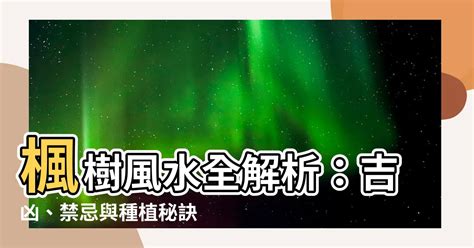 楓樹 風水|【楓樹風水】楓樹風水全解析：吉凶、禁忌與種植秘訣